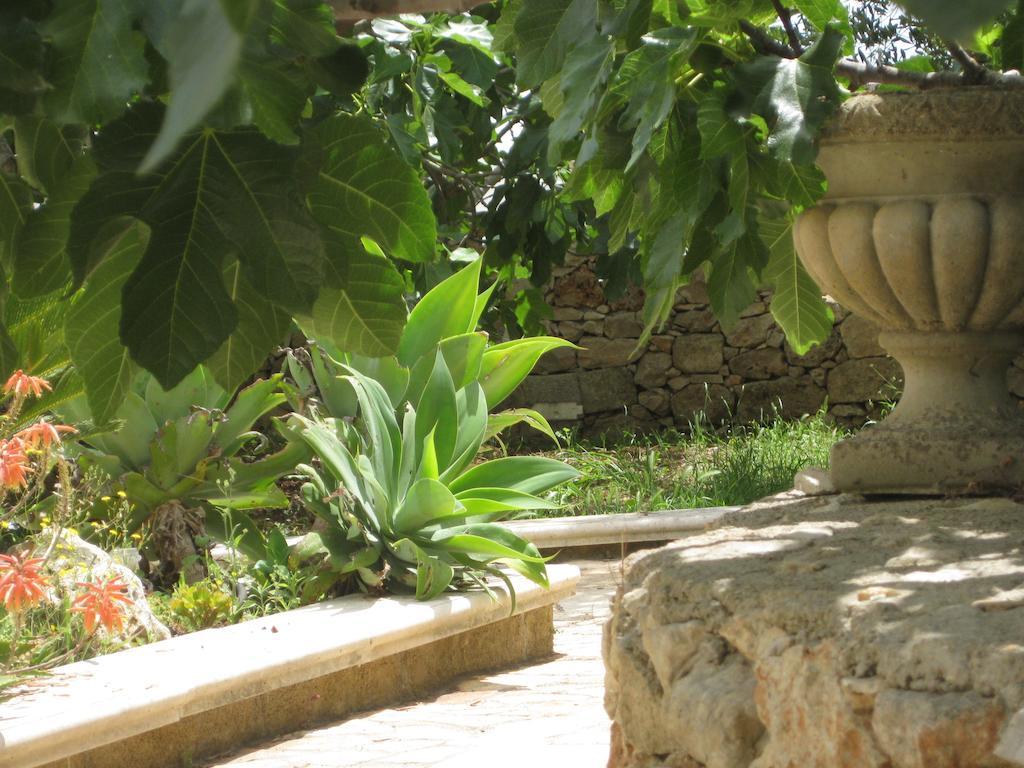 Casa Veneri Bed & Breakfast Salve Exterior foto
